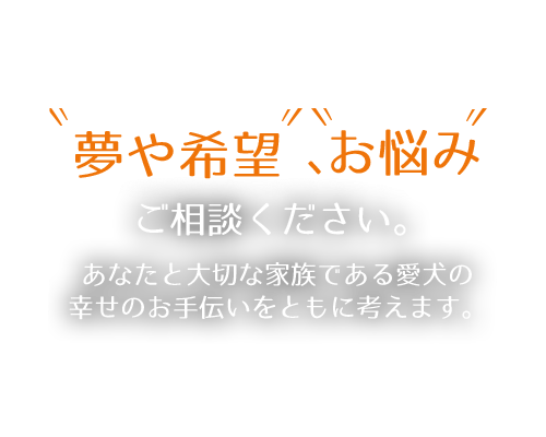 ドッグパートナースクールHERO